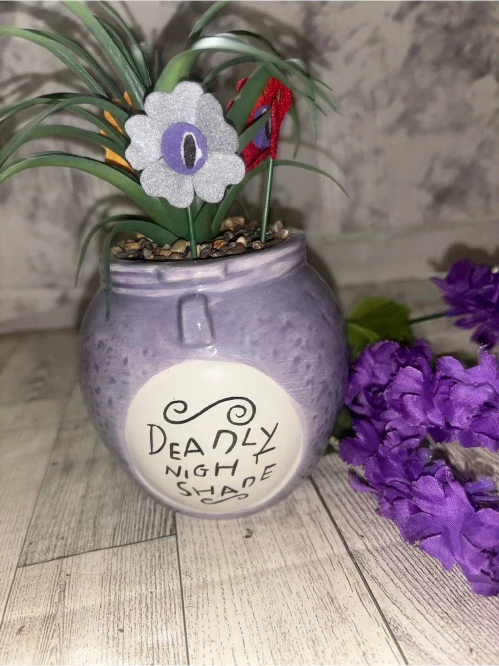 Nightmare before Christmas succulent deadly nightshade
